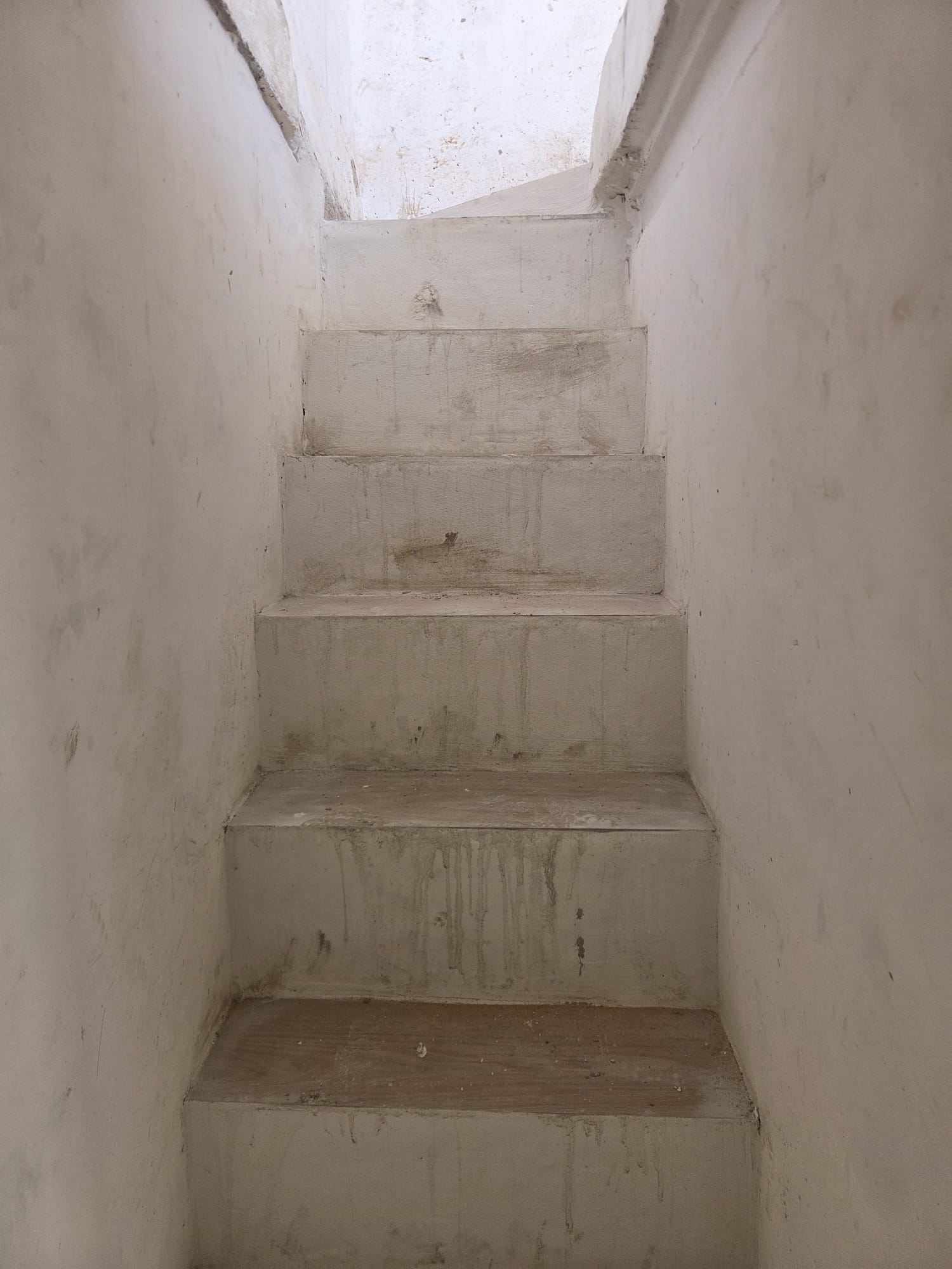 Durante la obra · Proyecto 13