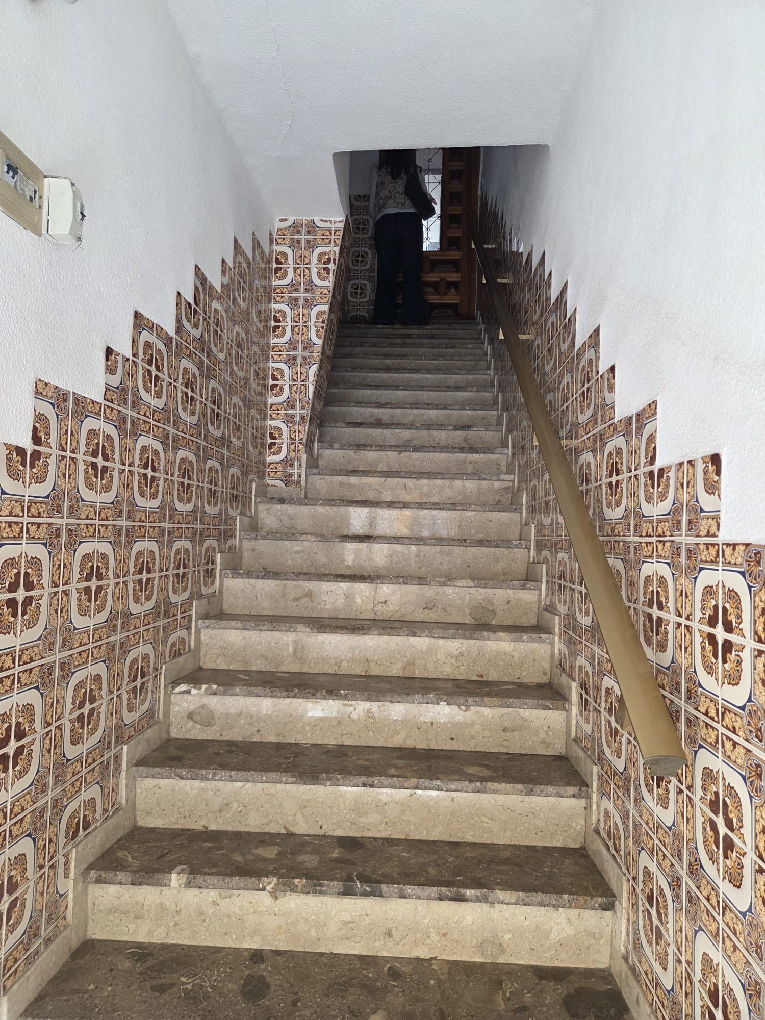Durante la obra · Proyecto 13