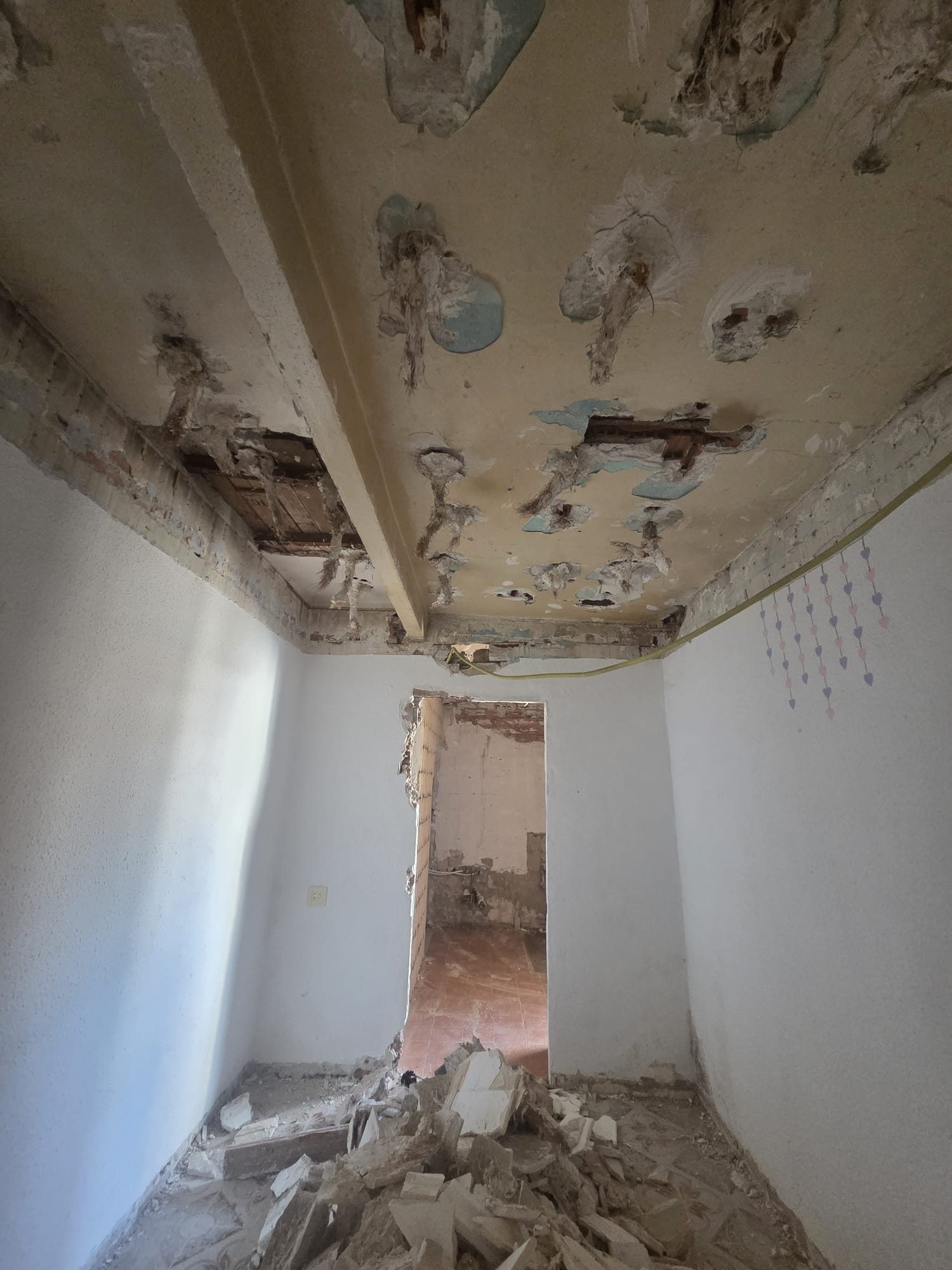 Durante la obra · Proyecto 13
