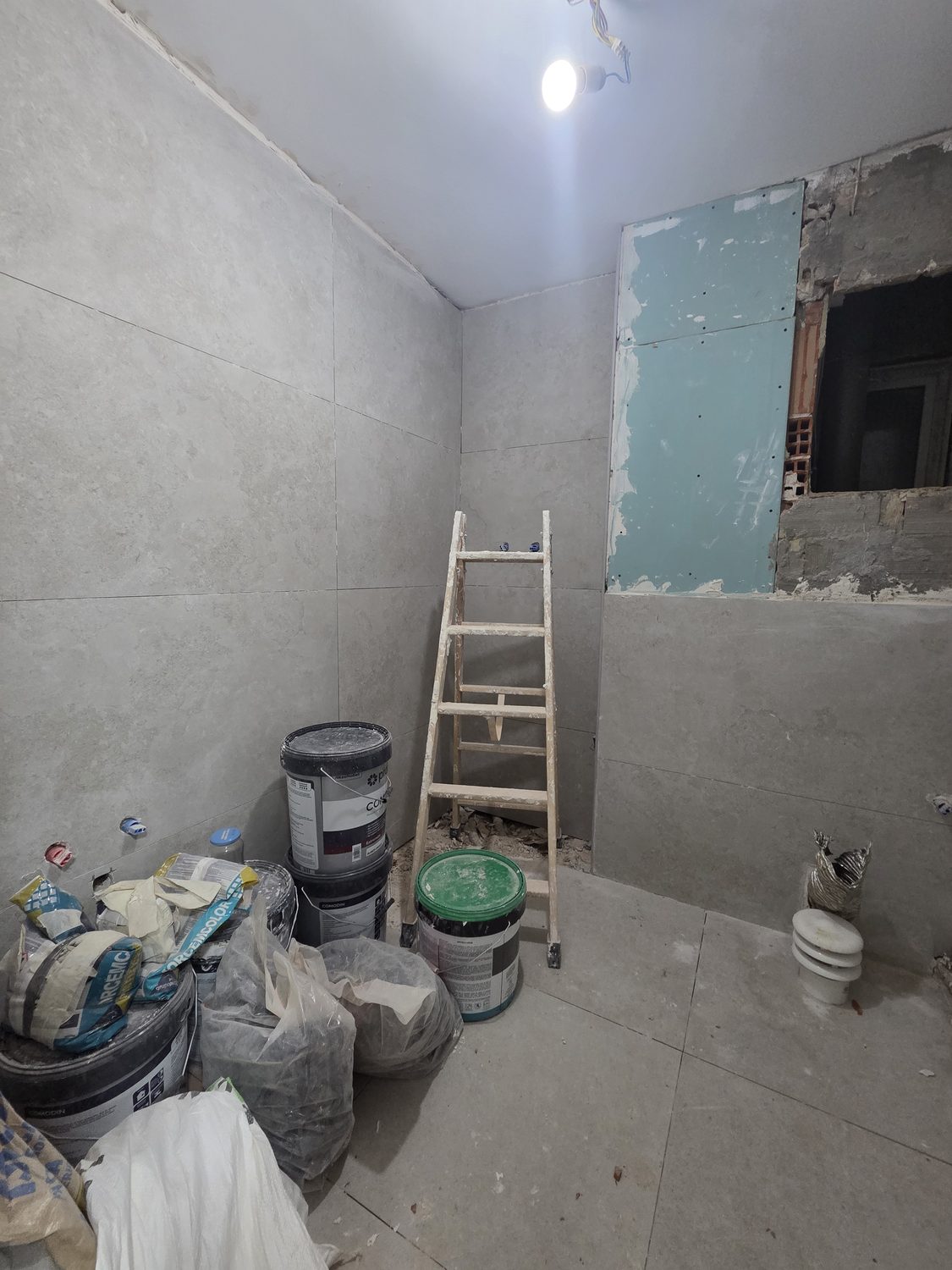Durante la obra · Proyecto 2