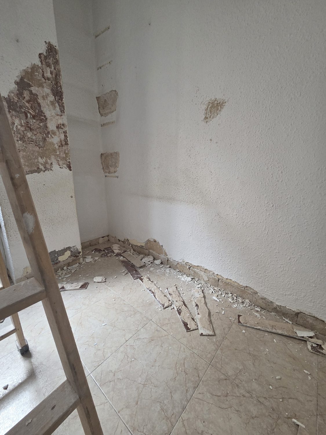 Durante la obra · Proyecto 6