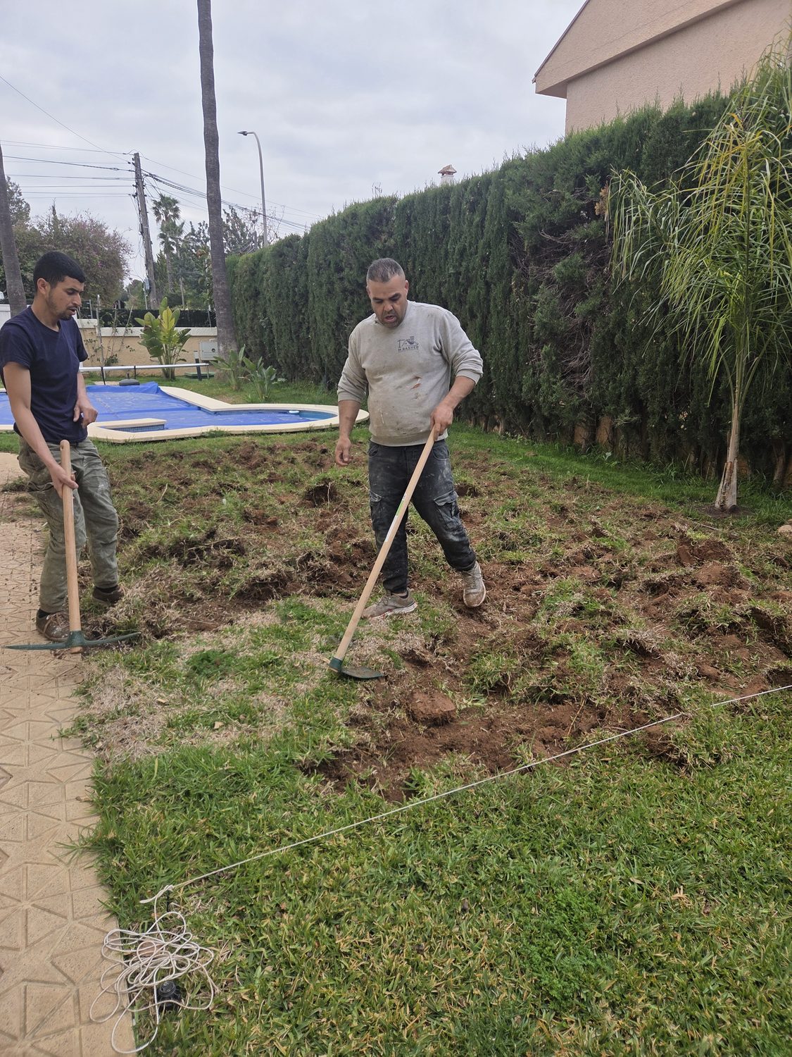 Durante la obra · Proyecto 7