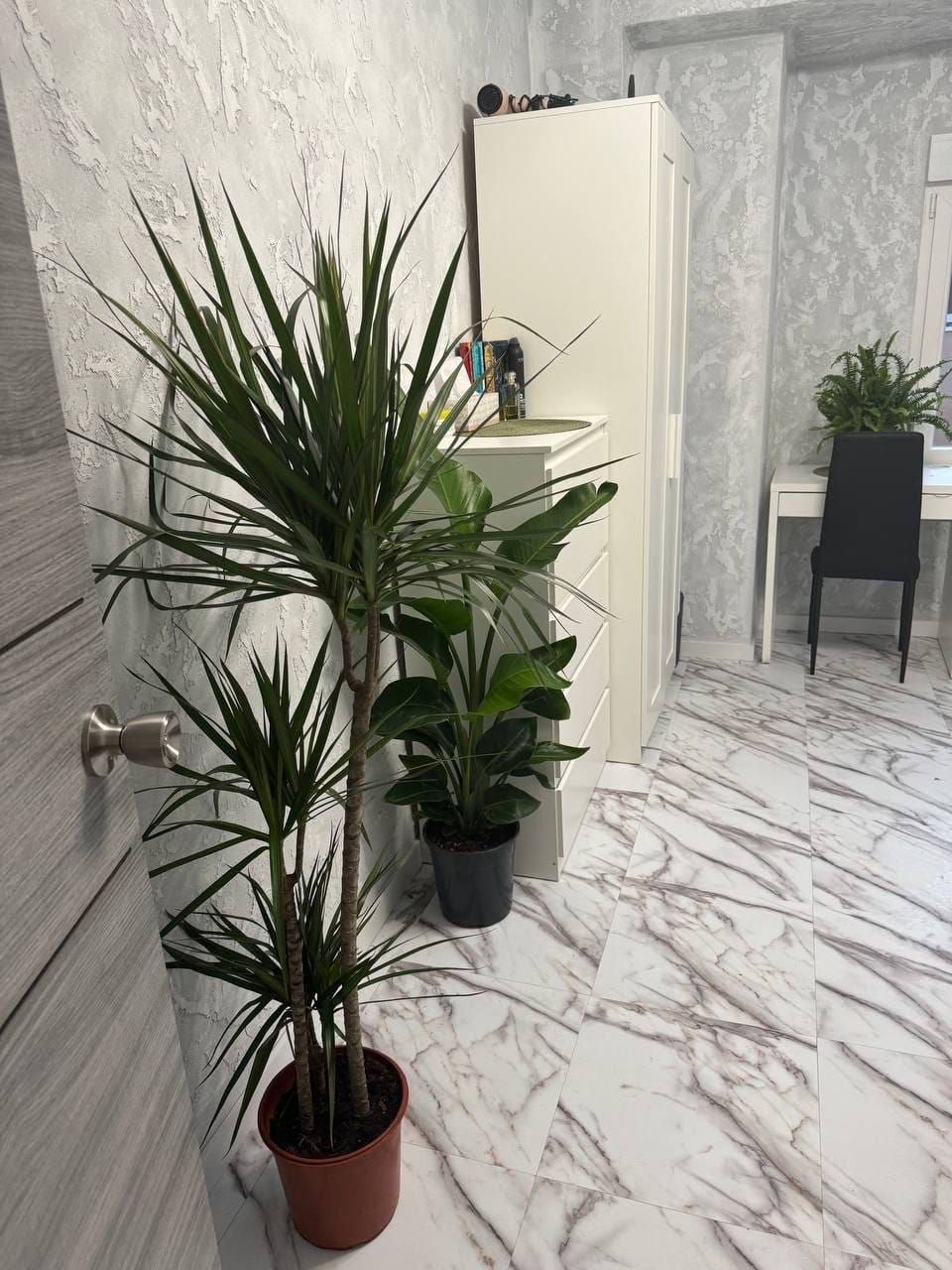 Apartamento en Mislata · Piso